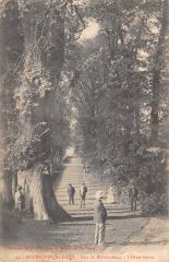 Bourbonne Les Bains - Parc De Montmorency - L'Orme Geant à Bourbonne-les-Bains