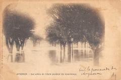 Avignon - Les Allees De L'Oulle Pendant Les Inondations à Avignon