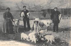 Eleveurs De Chiens Des Pyrenees