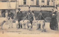 Cauterets - Le Marche Aux Chiens à Cauterets