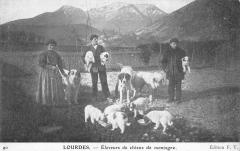Lourdes - Eleveurs De Chiens De Montagne à Lourdes