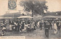 Chantilly - Les Courses - Un Coin De La Pelouse à Chantilly