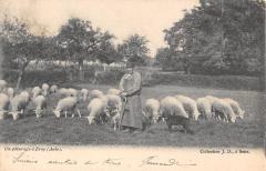 Un Paturage A Ervy /AUBE -
													10 Aube
												