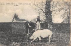 Recherche De La Truffe En Perigord - L'Arret