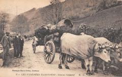 Les Pyrenees Illustrees - Devant L'Objectif - Attelage De Boeufs -
													64 Pyrénées Atlantiques
												