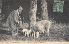 Foret De La Braconne - Tout Le Monde Travaille -
													16 Charente
												