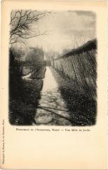 Nancy une Allee du Jardin à Nancy