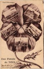 Toul souvenir -
													54 Meurthe et Moselle
												