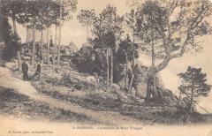 Saint Raphael - Le Sommet Du Mont Vinaigre à Saint-Raphaël