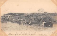 Scene De Bain - Plage Des Lecques