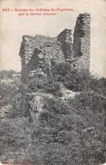Ruines Du Chateau De Peyroles - Pres La Salvetat -
													12 Aveyron
												