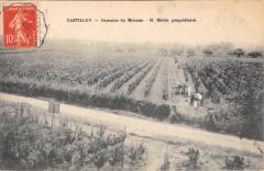 Castillon - Domaine Du Mounan - M.didier Proprietaire