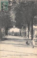 Dole - Une Allee Du Cours Saint Maurice à Dole