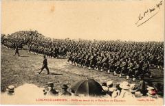 Luneville defile en masse