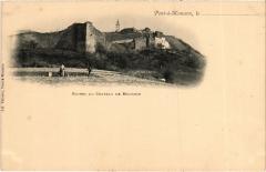 Pont a Mousson ruines du chateau à Mousson