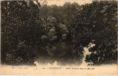 Liverdun Reflet d'arbres dans la Moselle à Liverdun