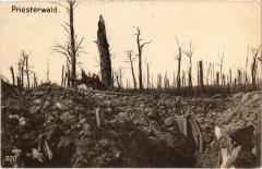 Priestwald