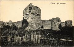 Preny Burgruine