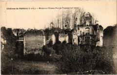 Chateau la Valliere Ruines du Chateau de Vaujours