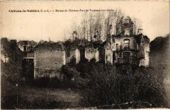 Chateau la Valliere Ruines du Chateau de Vaujours
