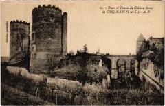 Cinq Mars Tours et Douves du chateau à Tours