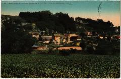 Vouvray les Vignes à Vouvray