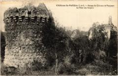 Chateau la Valliere Ruines du Chateau de Vaujours