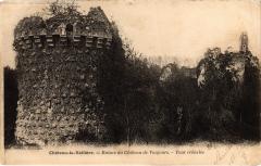 Chateau de la Valliere Ruines du Chateau de Vaujours