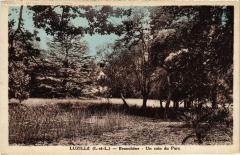 Luzille Beauchene un coin du parc