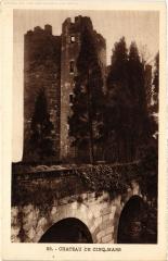 Cinq Mars la Pile le chateau à Cinq-Mars-la-Pile