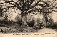 Foret de Chateau la Valliere le Chene de la Vierge