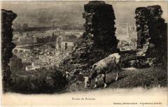 Ruines de Mousson à Mousson