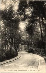 Les Buttes-Chaumont - Une Allée à Paris 19e
