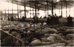 Le Marché de la Villette - Le hall aux moutons à Paris 19e