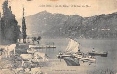 Aix Les Bains - Lac Du Bourget Et Dent Du Chat - Vaches à Aix-les-Bains