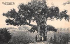 Bohain - Chene Brule Par Les Espagnols En 1630 -
													02 Aisne
												