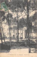 La Baule - La Roseraie - Vue Du Parc -
													44 Loire Atlantique
												