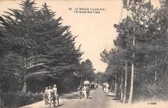 La Baule - L'Avenue Des Lilas -
													44 Loire Atlantique
												