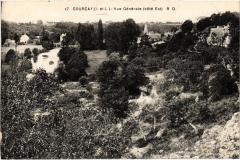 Courcay vue generale