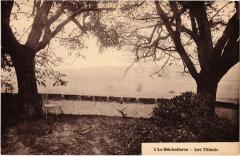 La Bechellerie Les Tilleuis