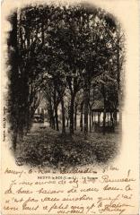 Neuvy le Square