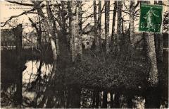(1472858) -
													37 Indre et Loire
												