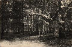 Clere Terre de Champchevrier