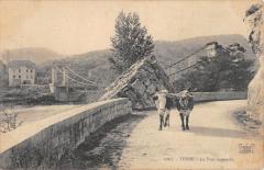Yenne - Le Pont Suspendu - Vaches à Yenne