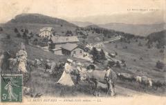 Le Mont Revard - Vaches