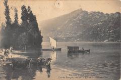 Environs D'Aix Les Bains - Lac Du Bourget - Vaches Dans L'Eau à Aix-les-Bains