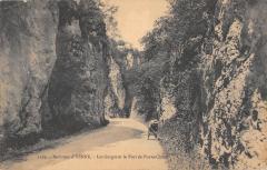 Environs D'Yenne - Les Gorges Et Le Fort De Pierre Chatel à Yenne