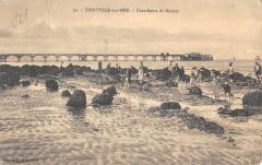 Trouville Sur Mer - Chercheurs De Moules à Trouville-sur-Mer