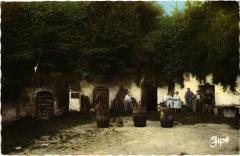 Ruille le Cavier de Saint-Amadou -
													72 Sarthe
												
