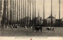 Bernay les űPrairies de Bordigne
